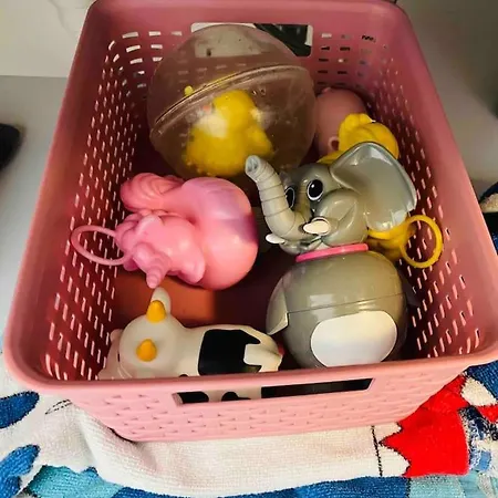 Familial, Lumineux Avec Parking & Terrasse オステンド