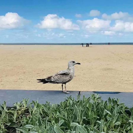 Familial, Lumineux Avec Parking & Terrasse